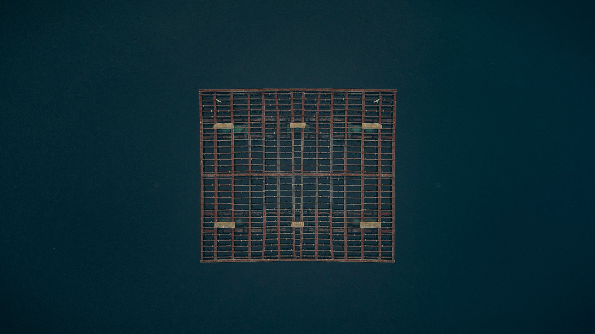 Mexillonaria — Color Grading